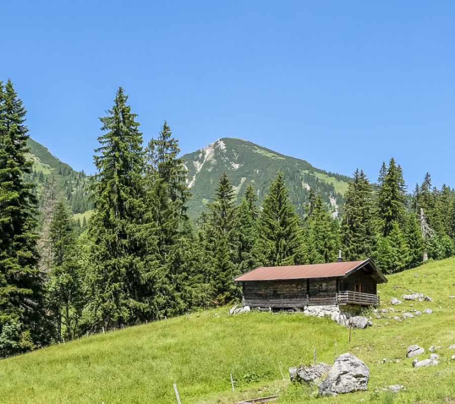 Almweg und Wiesen im Heutal
