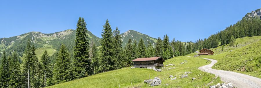 Almweg und Wiesen im Heutal