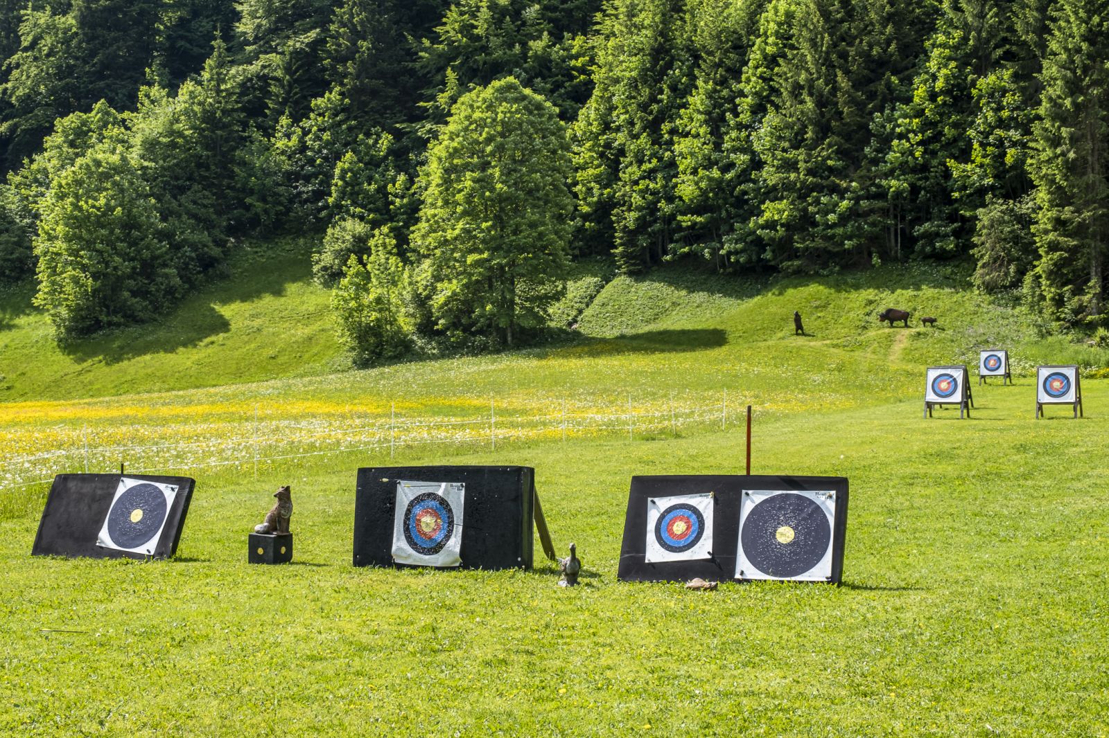 Bogenschießanlage auf einer Wiese im Heutal