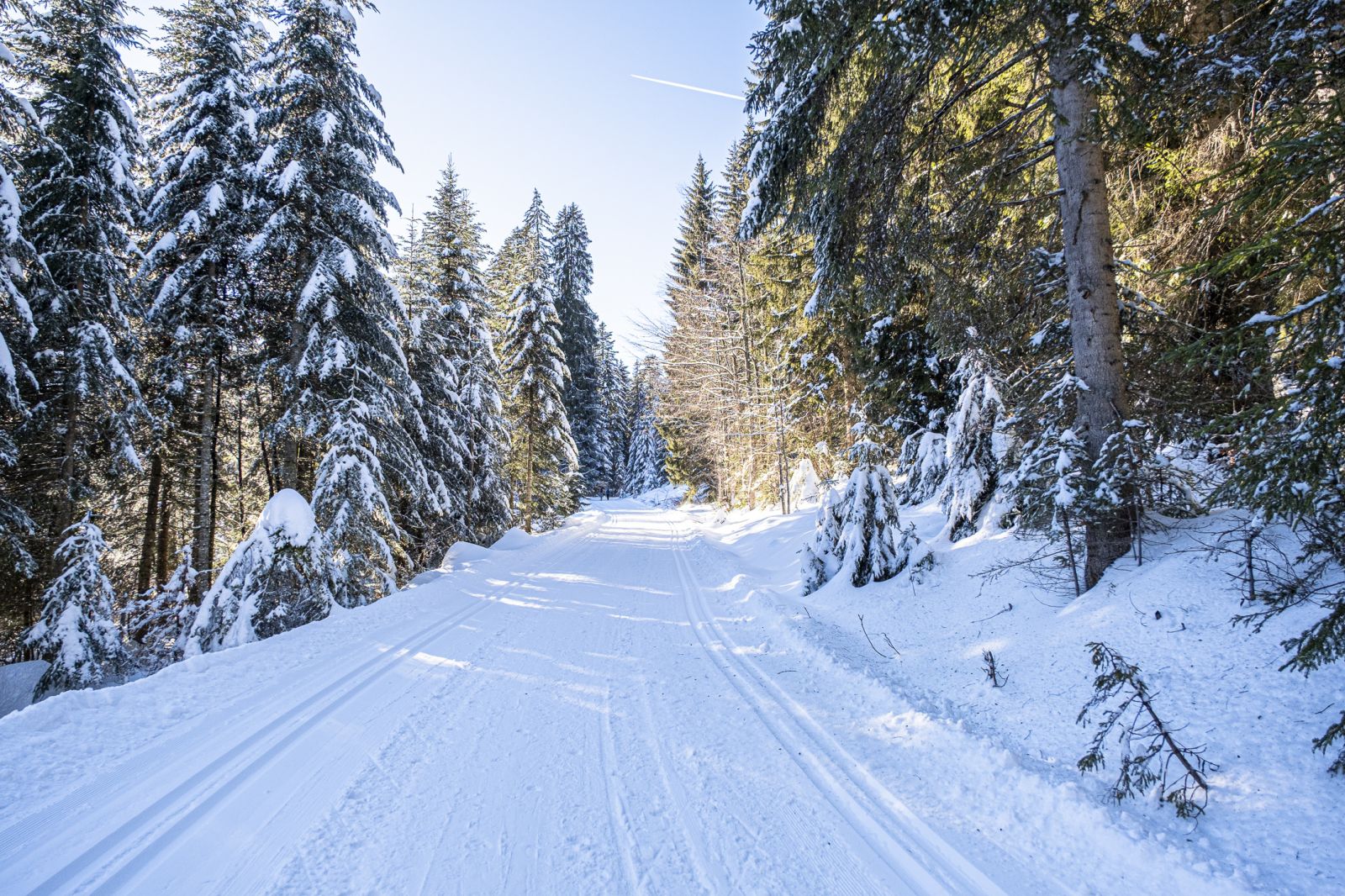 Verschneiter Waldweg im Heutal