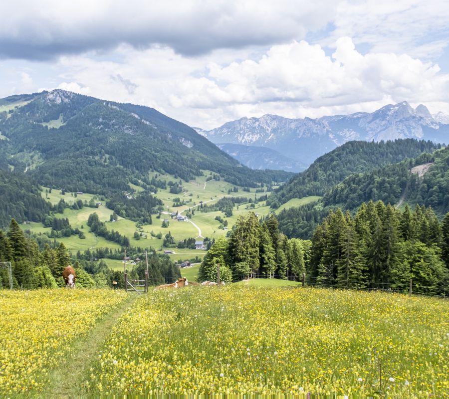 Blick über die Bergwiesen ins Heutal