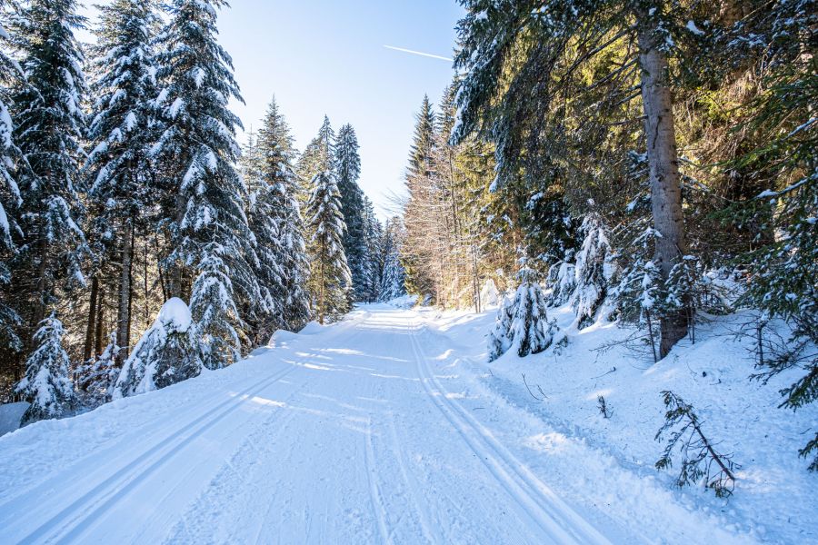Loipe an einer verschneiten Almhütte im Heutal