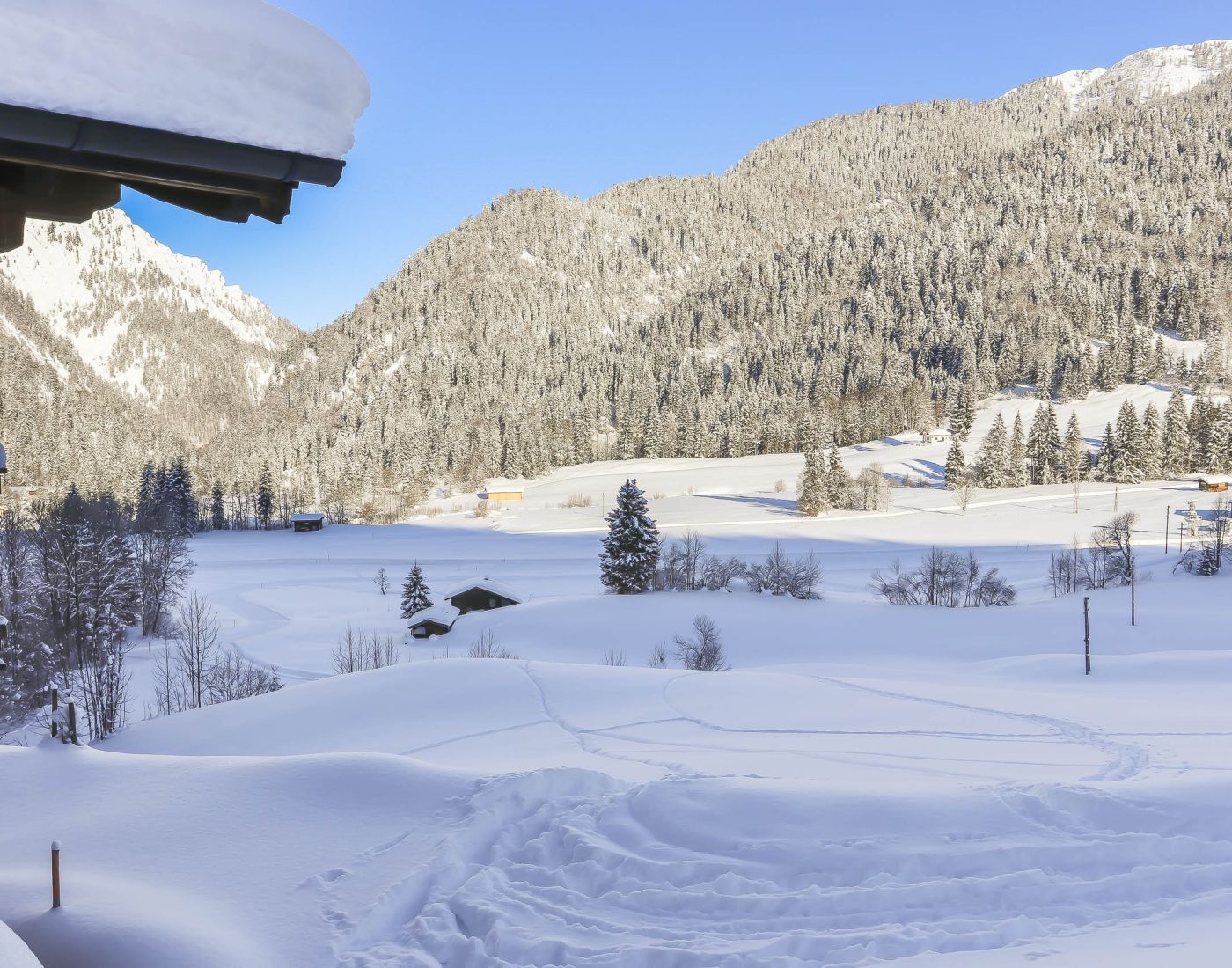 Das Chalet in der grünen Berglandschaft