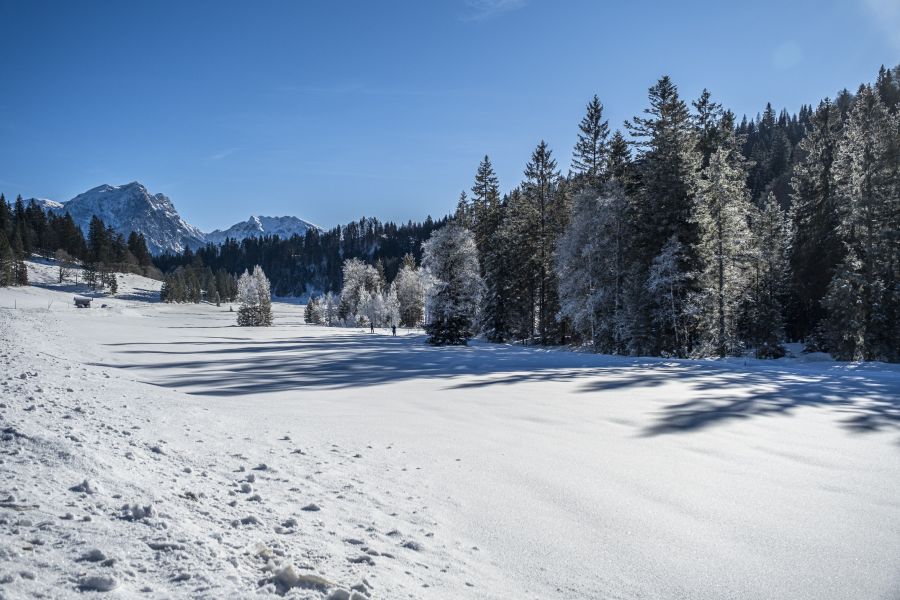 Verschneite Wiesen und Wälder im Heutal