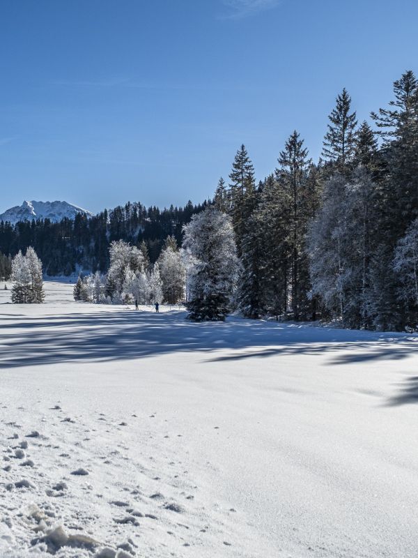 Verschneite Wiesen und Wälder im Heutal
