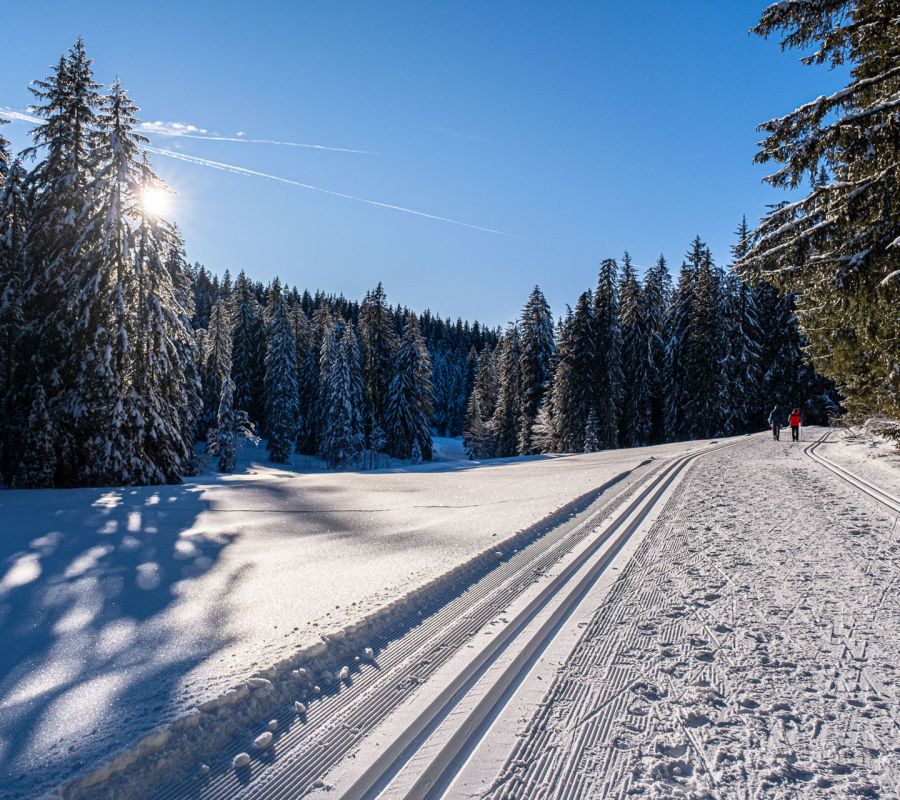 Langlaufloipe an einer verschneiten Almhütte im Heutal